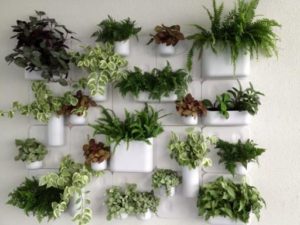 plantevaeg